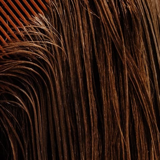 3 Color Root Touch Up at The Lavender Room Salon in Roswell, GA
